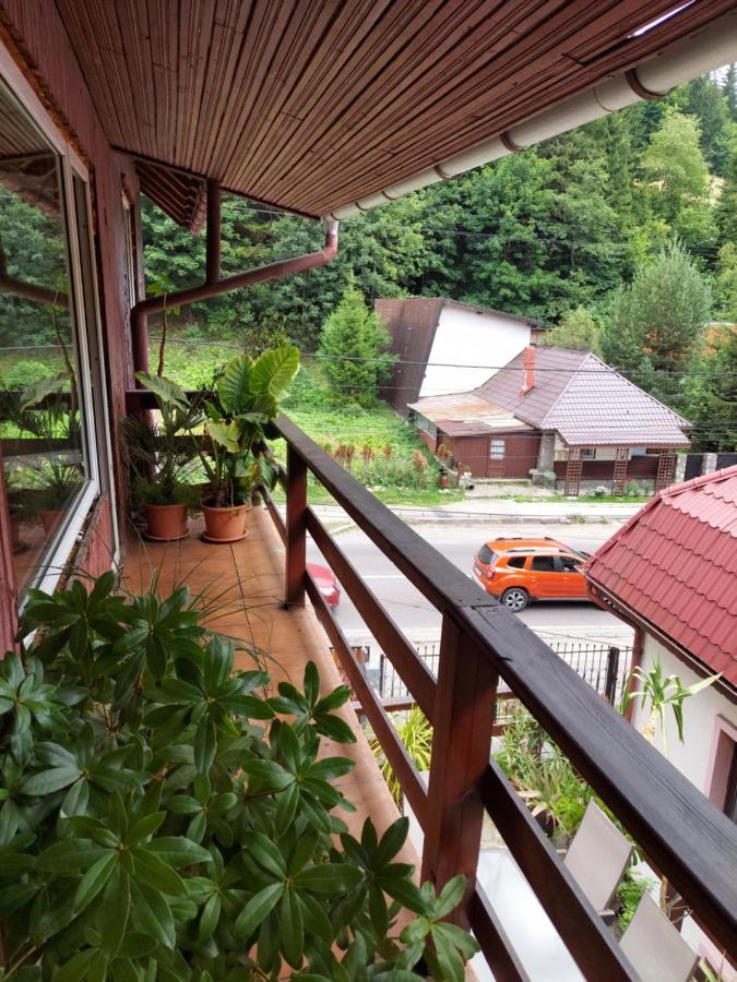Pensiune Casa Barcaru Азуга Экстерьер фото