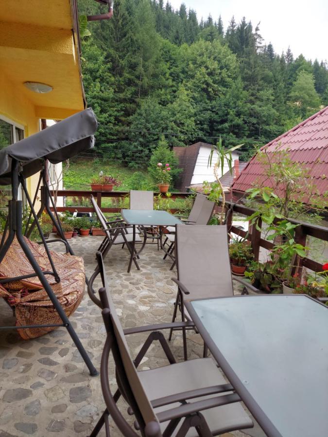 Pensiune Casa Barcaru Азуга Экстерьер фото